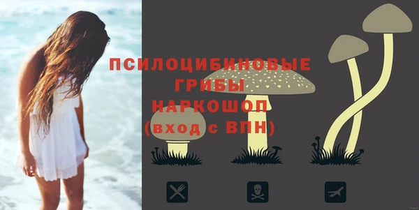 спайс Апатиты